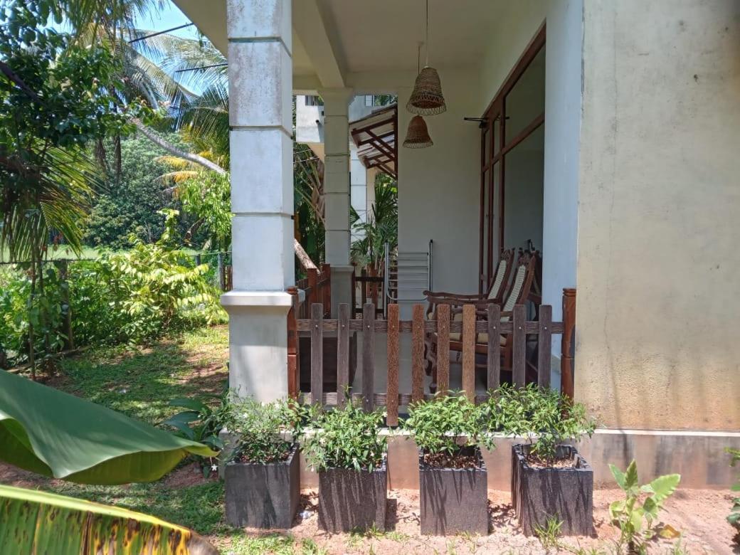 Guruwaththa Eco Lodge Hikkaduwa Exterior foto